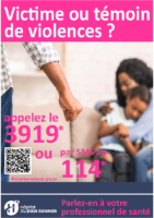 OBS-OPC-VIO-SI-006-violences -V1